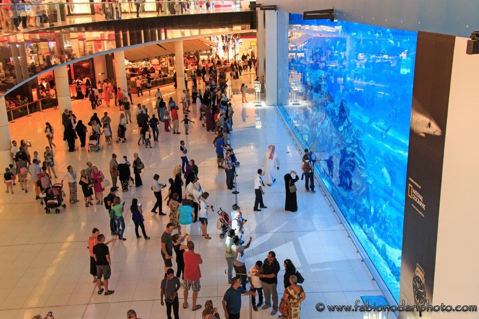 aquarium mall of the emirates