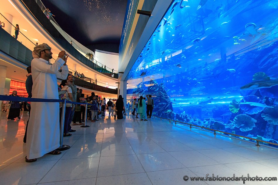 mall of the emirates aquarium