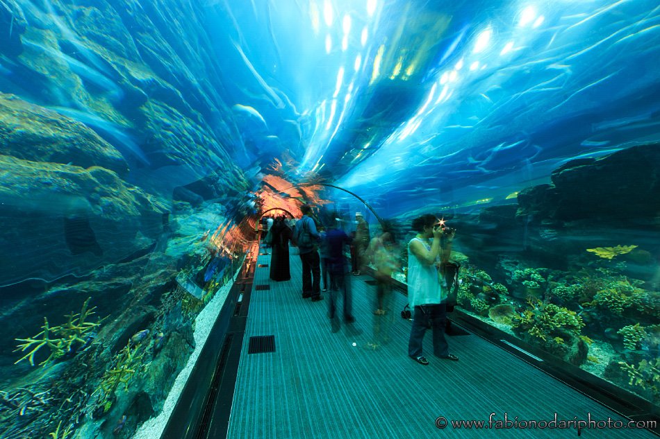 mall of the emirates aquarium