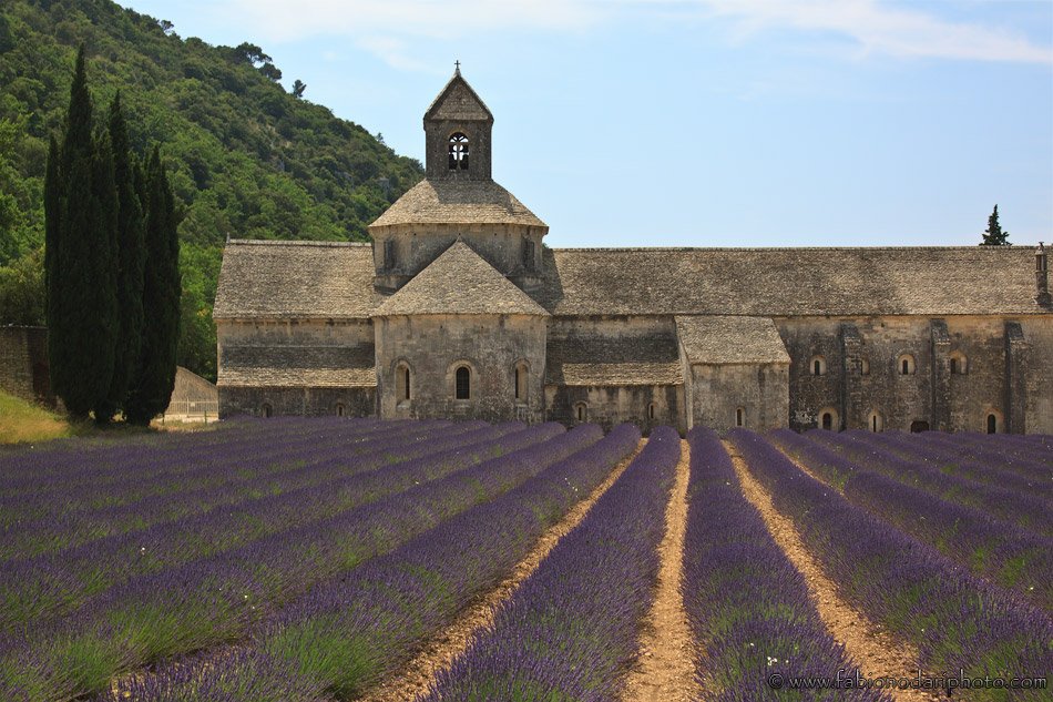 abbazia di senanque e campi di lavanda in Francia