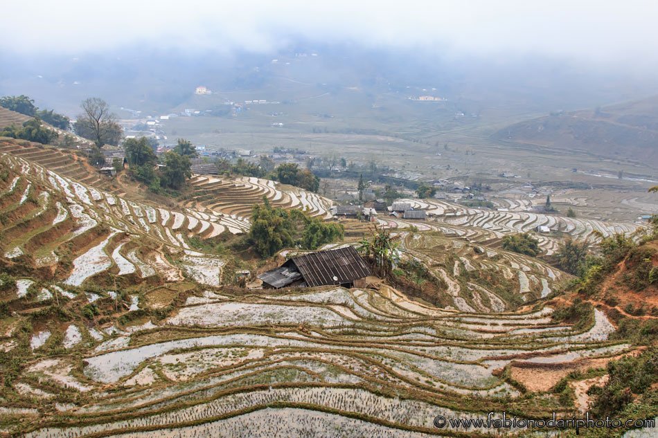 terrazze di riso a sapa in vietnam