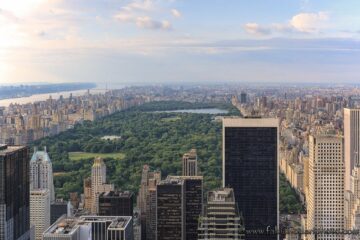 Central Park: biodiversità nel cuore di New York
