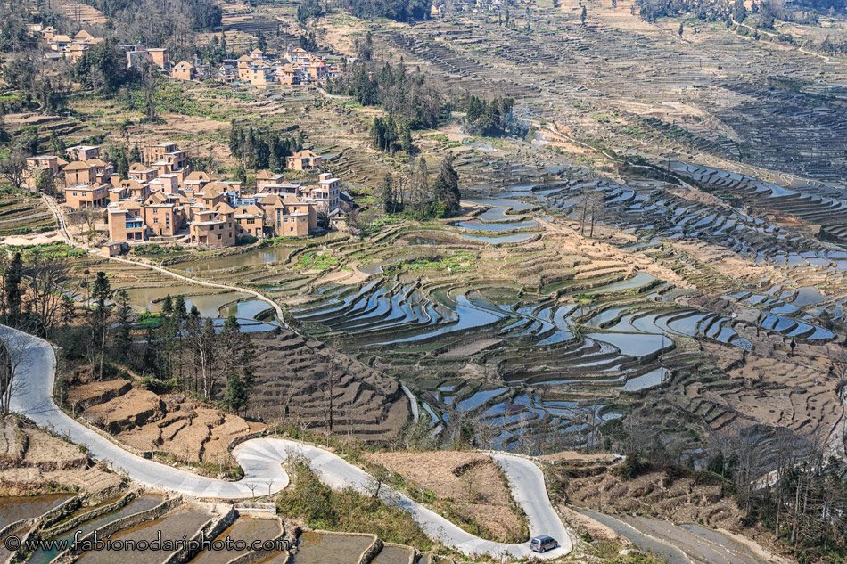 rice terraces in Yuanyang