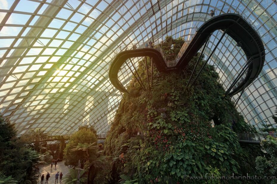 cloud forest dome singapore gardens by the bay2