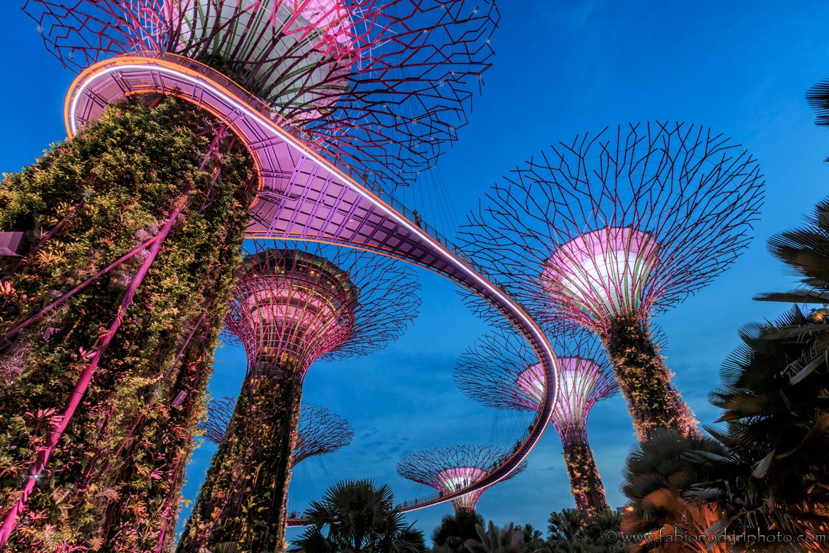 supetrees grove a singapore