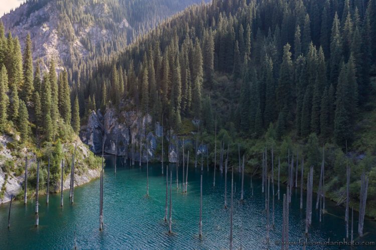 Kaindy Lake’s sunken forest