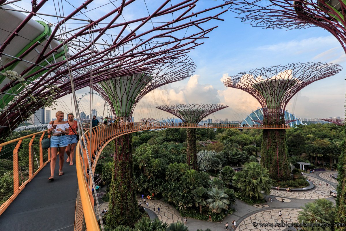 super trees singapore