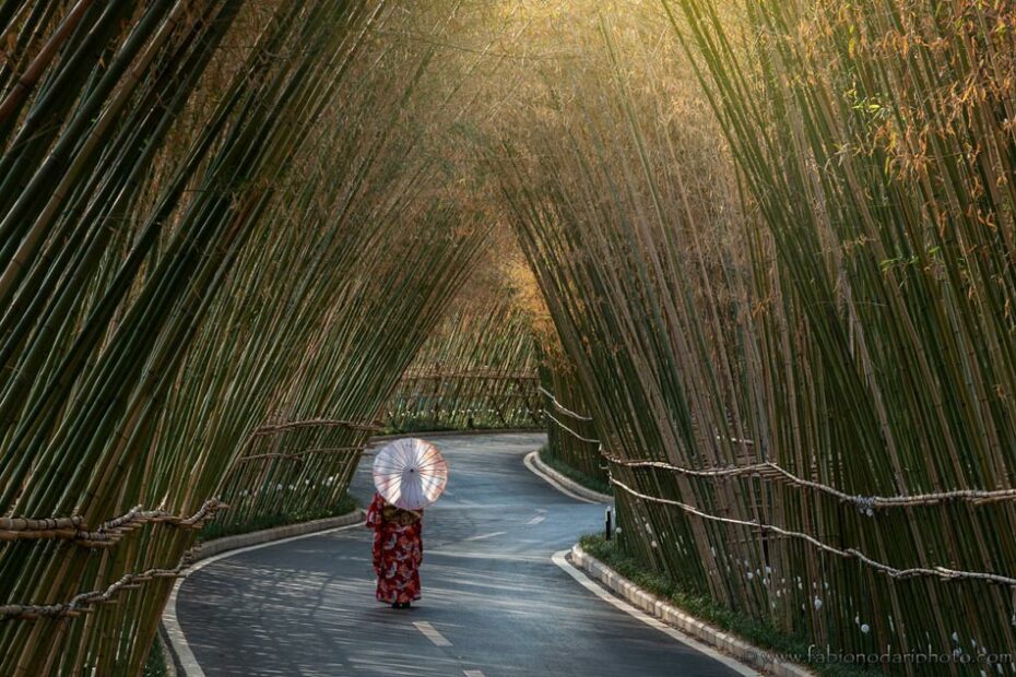 bamboo grove small